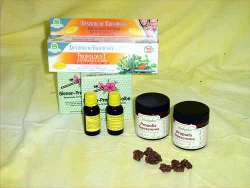 Bienenwissen: Propolis oder Kittharz